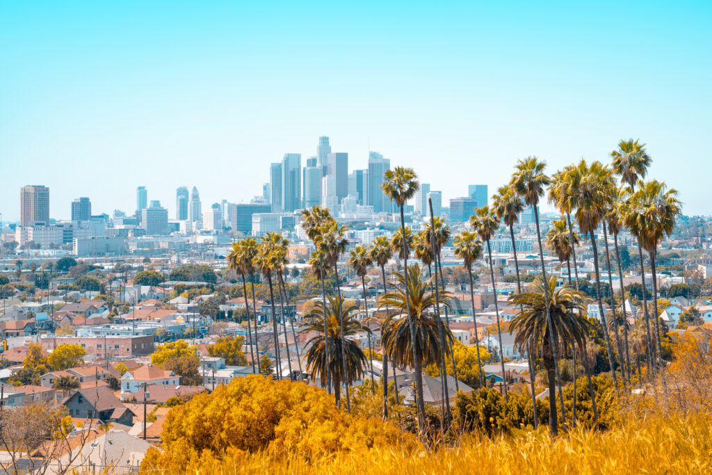 California skyline and palm trees representing personal injury lawyer help for accident claims across the state.
